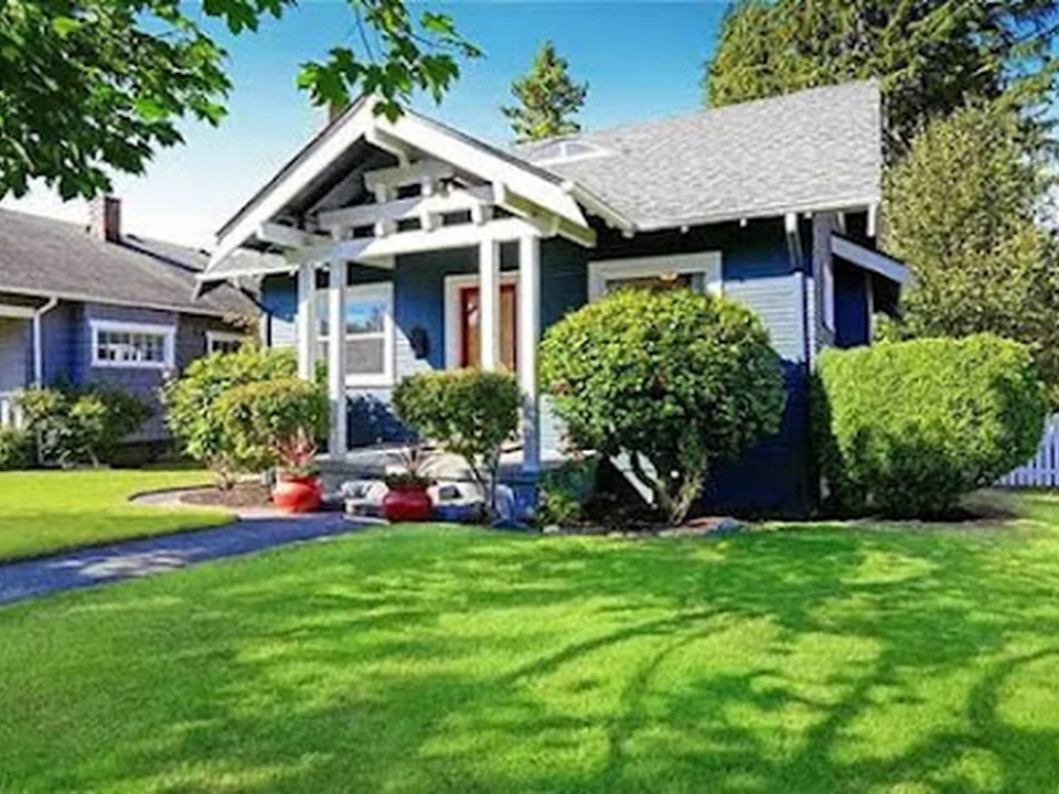 Advantage Pest Management, Denver