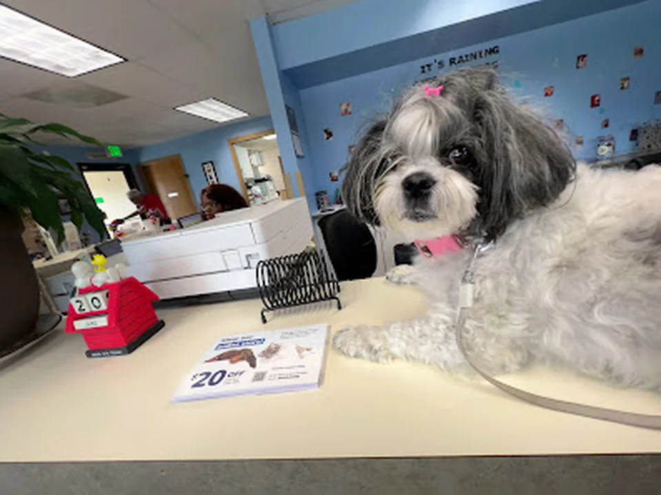 Belcaro Animal Hospital, Denver